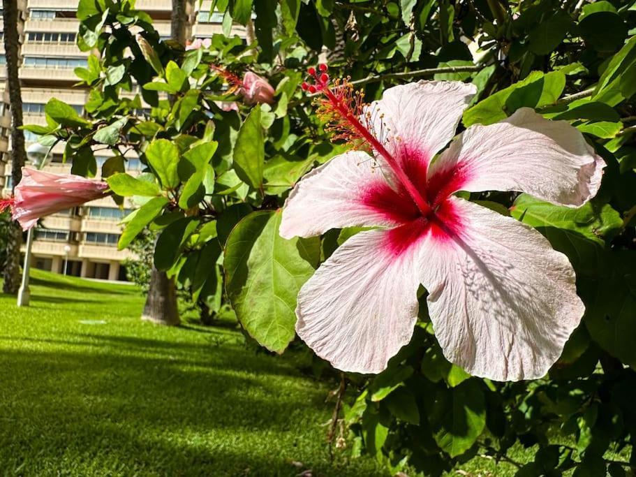 Apto. Tobago, Vistas Y Urbanizacion De Ensueno El Campello Bagian luar foto